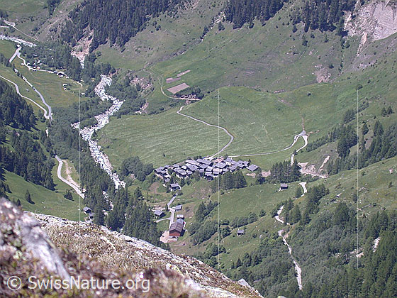 Foto: Tiefblick vom Gebiet Gorb auf den Weiler Imfeld
