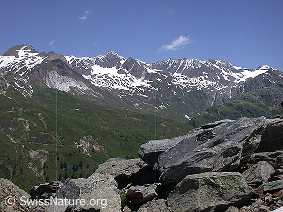 Foto: Turbechepf, Turbhorn, Strahlgrät und Hohsandhorn von SSW.