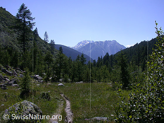 Foto: Bättli- und Breithorn von E (Lärchultini)