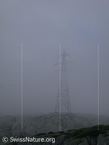 Foto: Mast einer Hochspannungsleitung im Nebel.