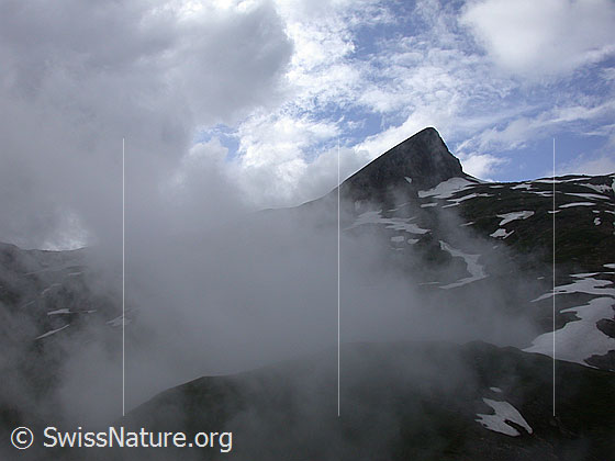 Foto: Holzjihorn von SE (Furggulti), umrahmt von Nebelschwaden.