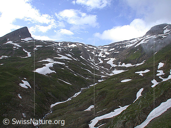 Foto: Blick vom Furggulti in den hintersten Teil des Fäldbachtals. Links das Holzjihorn, rechts die Turbechepf.