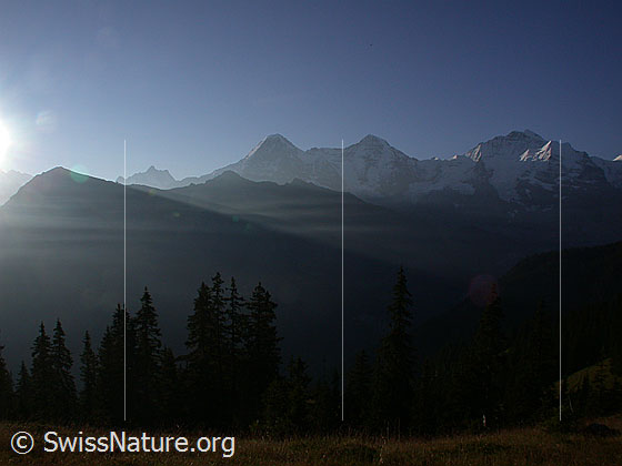 Foto: Männlichen, Eiger, Mönch und Jungfrau NW (unterhalb Lobhornhütte)