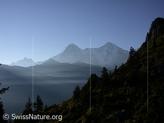 Foto: Tschuggen, Eiger und Mönch NW (unterhalb Lobhornhütte)
