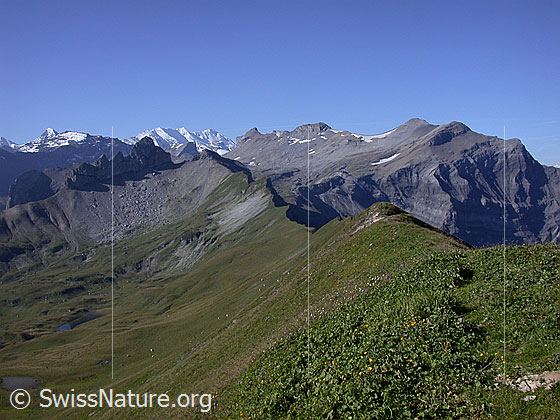 Foto: Blick von der Sulegg Richtung SW (Sulegg)
Von links nach rechts: Lobhörner, Drättehorn, Hoganthorn und Schwalmere.