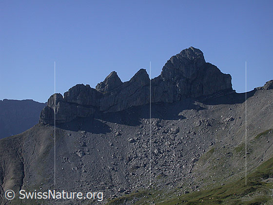 Foto: Lobhörner von N (Verbindungsgrat Sulegg - Kleines Lobhorn).