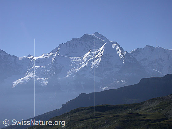Foto: Jungfrau von NNE  (Verbindungsgrat Sulegg - Kleines Lobhorn).