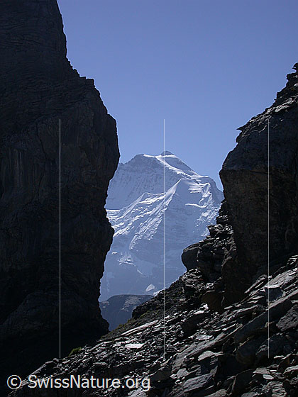 Foto: Jungfrau von NNE (Blick zwischen den zwei Lobhörnern hindurch).