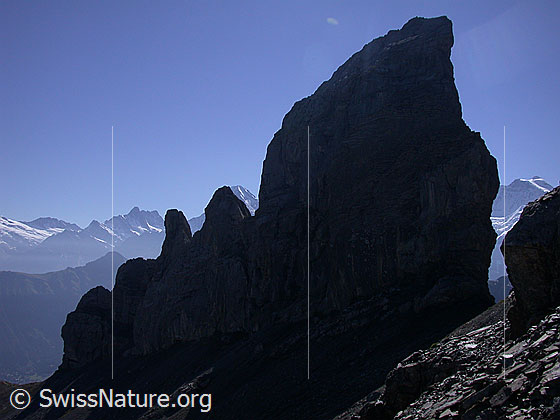 Foto: Lobhörner von WNW. Im Hintergrund sind die Berner Alpen zu sehen.