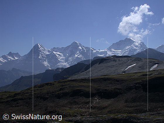 Foto: Eiger, Mönch und Jungfrau von NW (Hochebene Hogant).