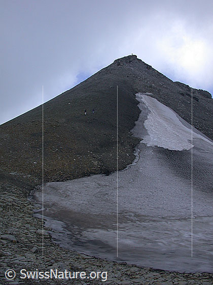 Foto: Gipfelaufbau der Schwalmere vom Sattel 2674.