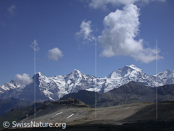 Foto: Eiger, Mönch und Jungfrau von NW (Hochebene Hogant).