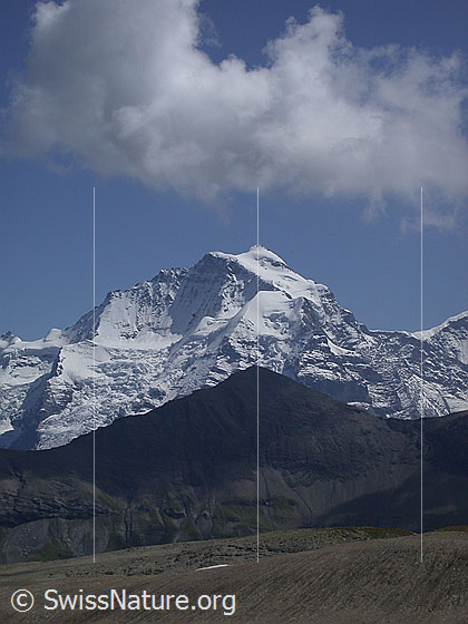 Foto: Jungfrau und Bietenhorn von NW (Hochebene Hogant).
