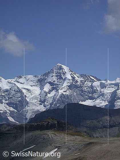 Foto: Eigerjoch, Mönch und Jungfraujoch von NW (Hochebene Hogant).