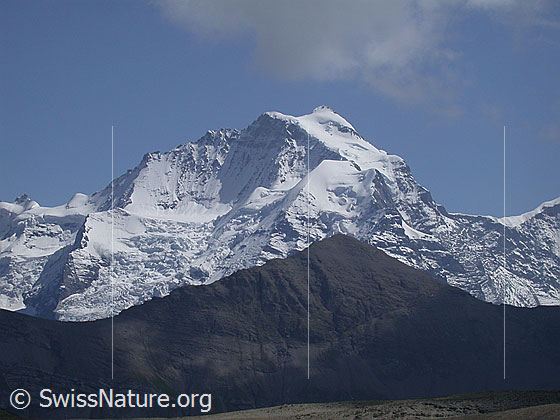 Foto: Jungfrau und Bietenhorn von NW (Hochebene Hogant).