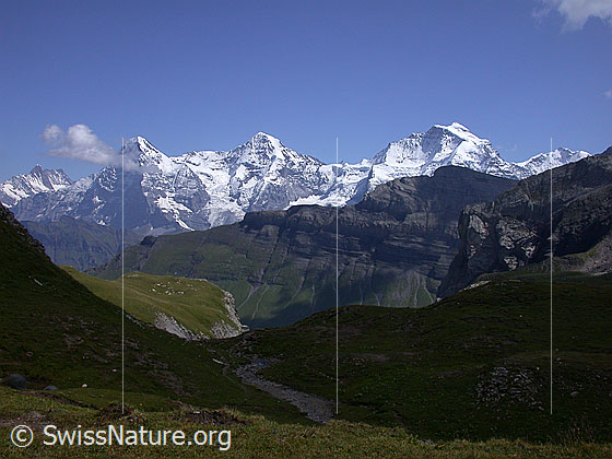 Foto: Eiger, Mönch und Jungfrau von NW (Hochebene Hogant).