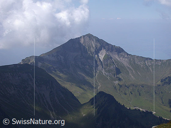 Foto: Morgenberghorn von SE (Hochebene Hogant).