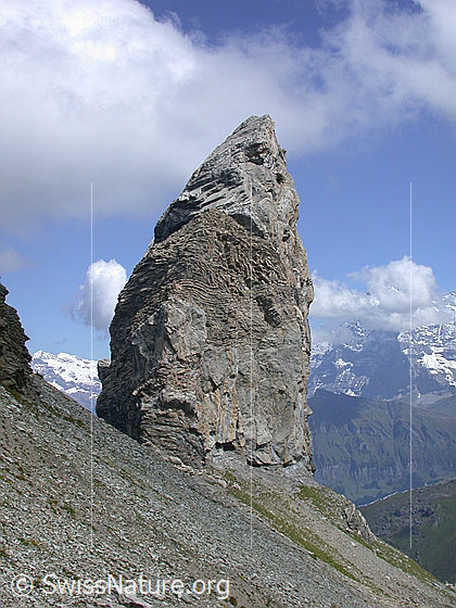 Foto: Lobhorn von W.