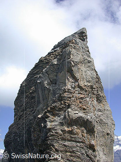Foto: Gipfelaufbau des Lobhorn von W.