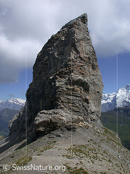 Foto: Gipfelaufbau des Lobhorn von W.