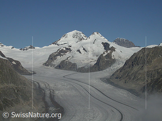 Foto: Jungfraujoch, Mönch, Trugberg, Eiger, Konkordiaplatz und Aletschgletscher von S (Eggishorn)