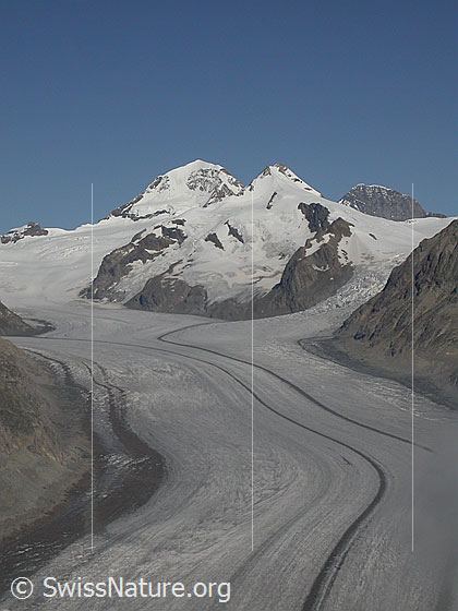 Foto: Jungfraujoch, Mönch, Trugberg, Eiger, Konkordiaplatz und Aletschgletscher von S (Eggishorn)