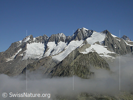 Foto: Chamm, Fiescher Gabelhorn, Schönbühlhorn, Gross Wannenhorn und Klein Wannenhorn von S (Eggishorn)