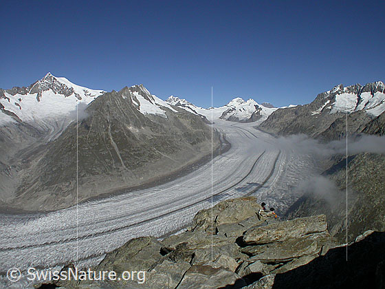 Foto: Aletschorn, Mittelaletschgletscher, Dreieckhorn, Jungfrau, Jungfraujoch, Mönch, Trugberg, Eiger, Chamm, Konkordiaplatz und Aletschgletscher von S.