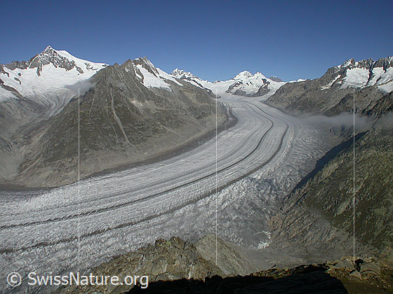 Foto: Aletschorn, Mittelaletschhorn, Dreieckhorn, Jungfrau, Jungfraujoch, Mönch, Trugberg, Eiger, Chamm, Konkordiaplatz und Aletschgletscher von S.