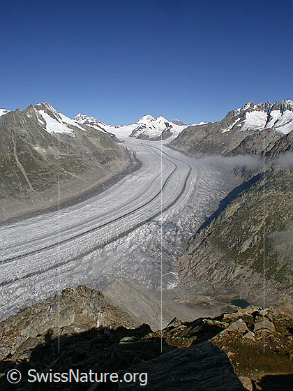 Foto: Dreieckhorn, Jungfrau, Jungfraujoch, Mönch, Trugberg, Eiger, Chamm, Konkordiaplatz und Aletschgletscher von S.