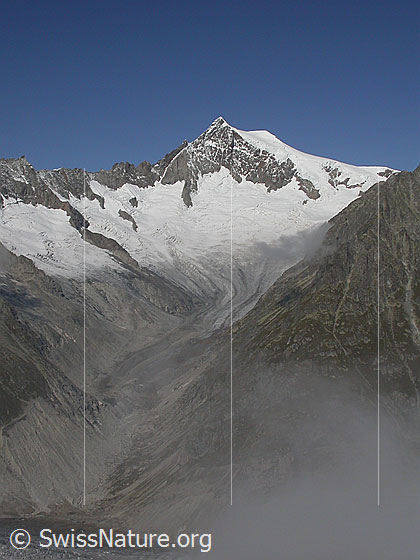 Foto: Aletschhorn und Mittelaletschgletscher von SW (Eggishorn).