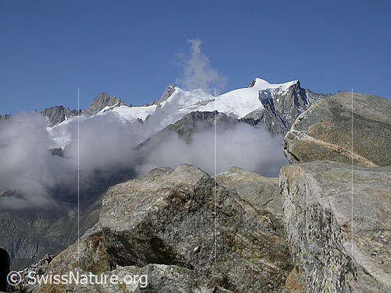 Foto: Gross Fusshorn, Rotstock, Geisshorn und Sattelhorn von ESE (Eggishorn).