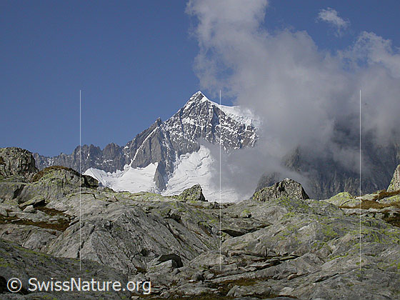 Foto: Aletschhorn von ESE (Tälligrat).