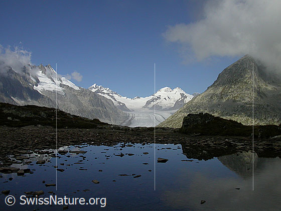 Foto: Dreieckhorn, Jungfrau, Mönch, Trugberg und Aletschgletscher von S (Tälligrat).