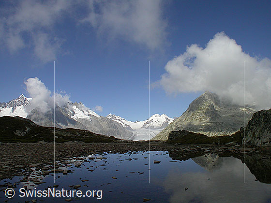 Foto: Aletschhorn, Dreieckhorn, Jungfrau, Mönch, Trugberg und Aletschgletscher von S (Tälligrat).
