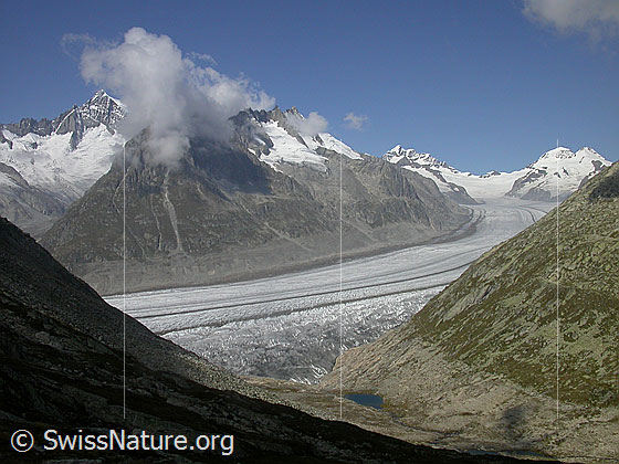 Foto: Aletschhorn, Dreieckhorn, Jungfrau, Mönch, Trugberg Aletschgletscher und Märjelesee von SE (Tälligrat).