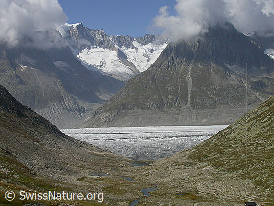 Foto: Aletschgletscher und Märjelesee von E.
