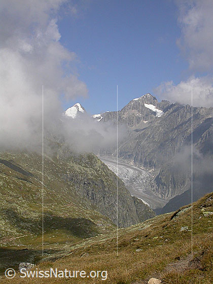 Foto: Oberaarhorn, Wasenhorn und Fieschergletscher von SW.