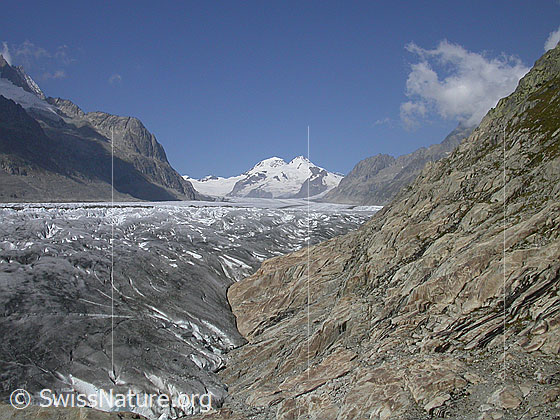 Foto: Aletschgletscher, Konkordiaplatz, Mönch und Trugberg von SSE.