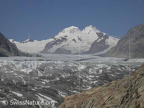 Foto: Aletschgletscher, Konkordiaplatz, Mönch und Trugberg von SSE.