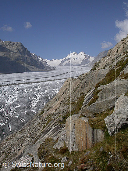 Foto: Aletschgletscher, Konkordiaplatz, Mönch und Trugberg von SSE (Platta).