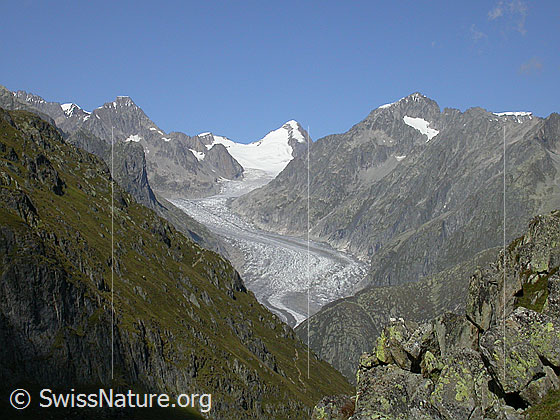 Foto: Finsteraarrothorn, Oberaarhorn und Fieschergletscher von SSW.
