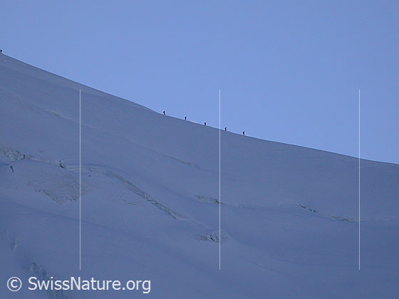 Foto: Seilschaft im Abstieg vom Weissmies.