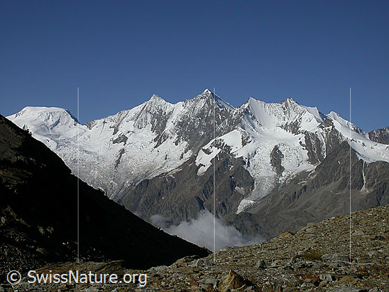 Foto: Alphubel und Mischabel von NE (Hohsaas)
Alphubel, Täschhorn, Dom, Lenzspitze, Nadelhorn und Stecknadelhorn. Vorgelagert das Ulrichshorn.