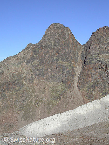 Foto: Jegihorn von SE (Hohsaas)