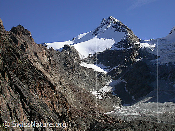 Foto: Fletschhorn von SW  (Aufstieg Jegihorn)
Links die Hänge des Grüebugletschers, rechts der Fletschhorngletscher.