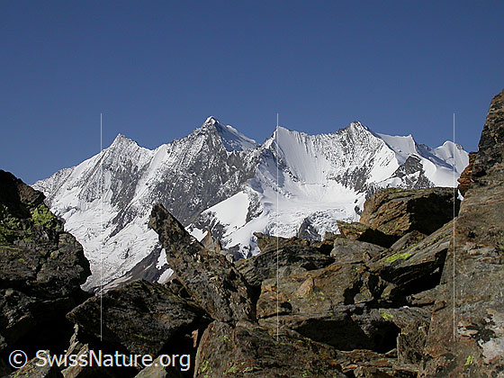 Foto: Mischabel von NE (Aufstieg zum Jegihorn)
Täschhorn, Dom, Lenzspitze, Nadelhorn, Stecknadelhorn und Hohberghorn. Vorgelagert das Ulrichshorn.