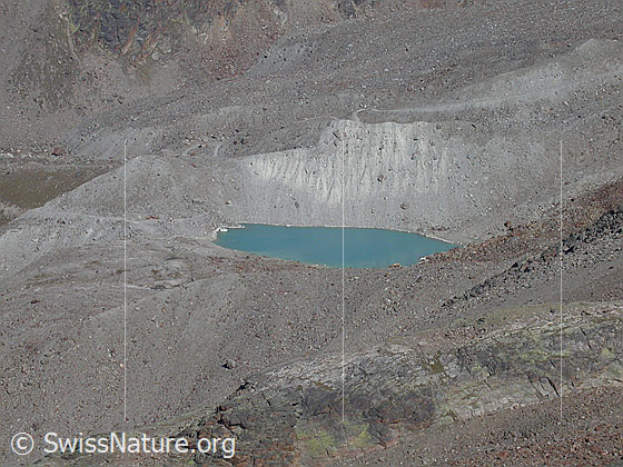 Foto: Bergsee (2768m) ob Saas Balen von N (Gipfel Jegihorn)
Dieser See liegt in einer Permafrostzone und gefährdet Saas Balen. Der Wasser fliesst durch den Gletscherbach Fellbach an der Grubenalp vorbei hinunter nach Saas Balen.