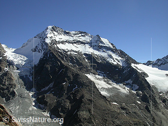Foto: Lagginhorn von W (Gipfel Jegihorn).
Links das Fletschjoch und der Fletschhorngletscher, rechts das Lagginjoch und der Hohlaubgletscher.