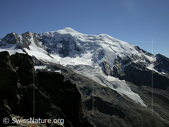Foto: Weissmies und Triftgletscher von NW  (Gipfel Jegihorn)

.